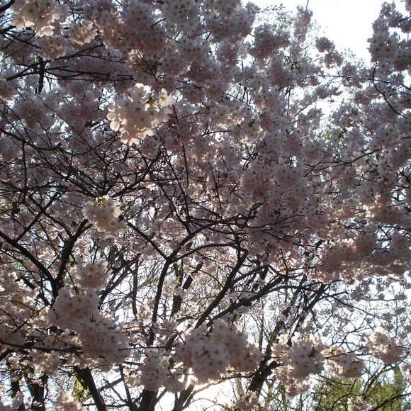 Empty - Picture 1 of 1